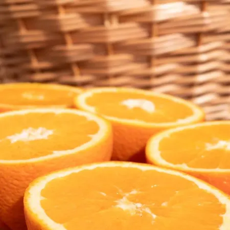 Tribu Tente de luxe São Bartolomeu de Messines