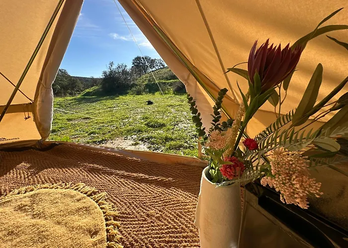 Роскошный шатер Tribu