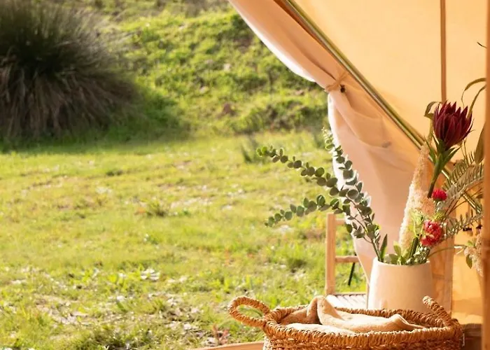 Роскошный шатер Tribu